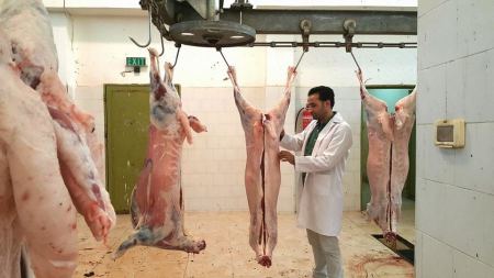 رمضان يهيب بادارة المسلخ واصحاب الملاحم المحافظة على السلامة العامة 